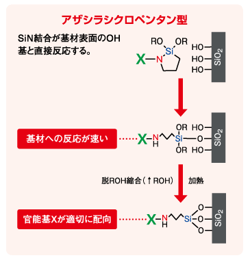 反応機構：アザシラシクロペンタン型シラン