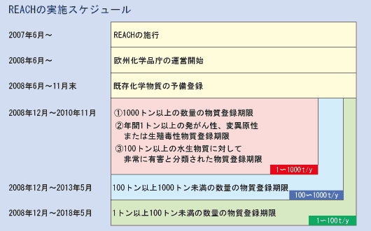 REACHの実施スケジュール図