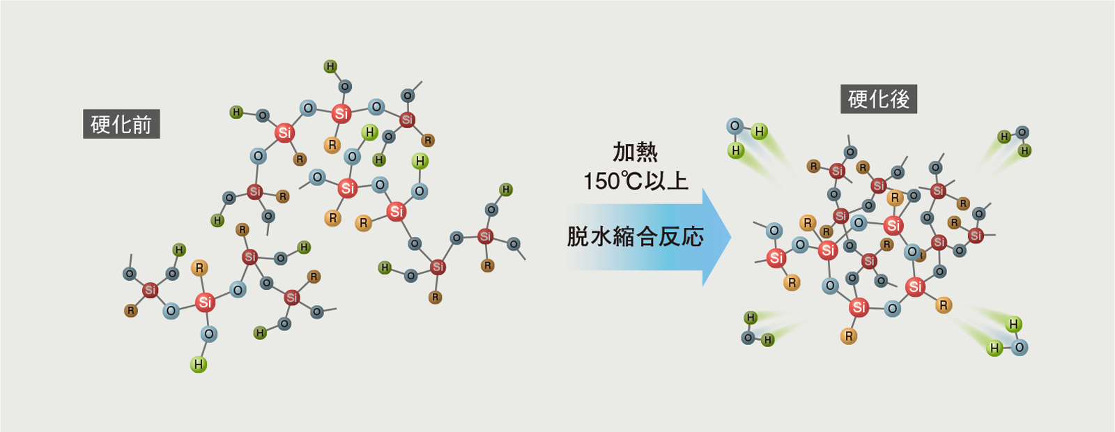 脱水縮合硬化タイプ硬化機構