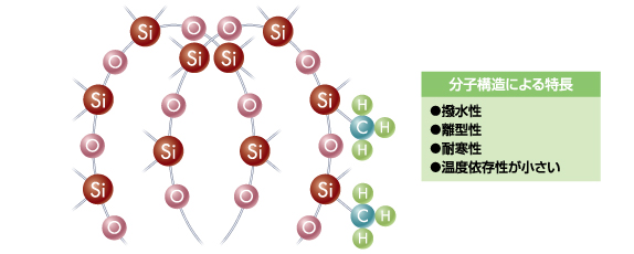 分子構造による特長
