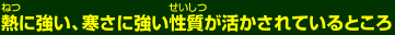 熱に強い、寒さに強い性質が活かされているところ