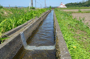 「アグリパッチシール」を施工した農業用水路
