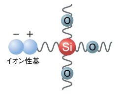 構造式モデル