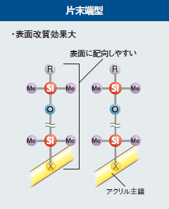 片末端型／両末端型／側鎖型