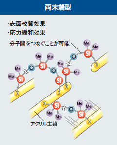 片末端型／両末端型／側鎖型