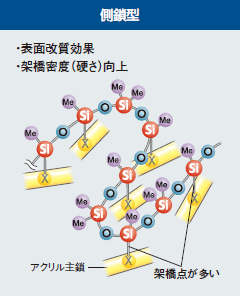 片末端型／両末端型／側鎖型