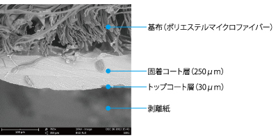 成形サンプルの断面